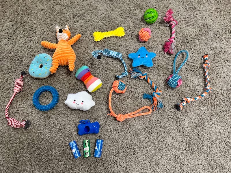 a dozen fun dog toys on the carpet