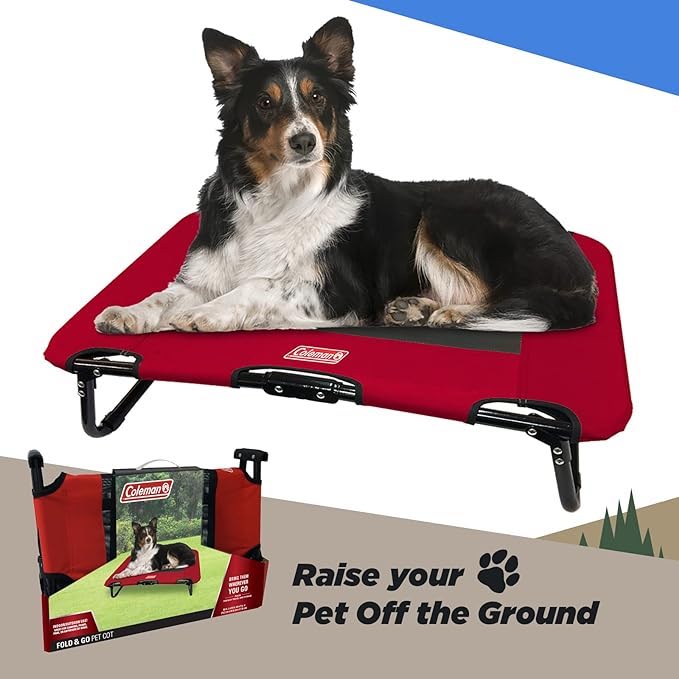 Coleman elevated dog bed with a dog on it is one of the best dog accessories for rv camping