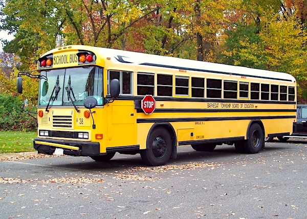 type d school bus