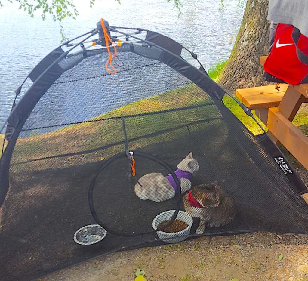 portable outdoor cat tent is one of the best cat accessories for RV camping