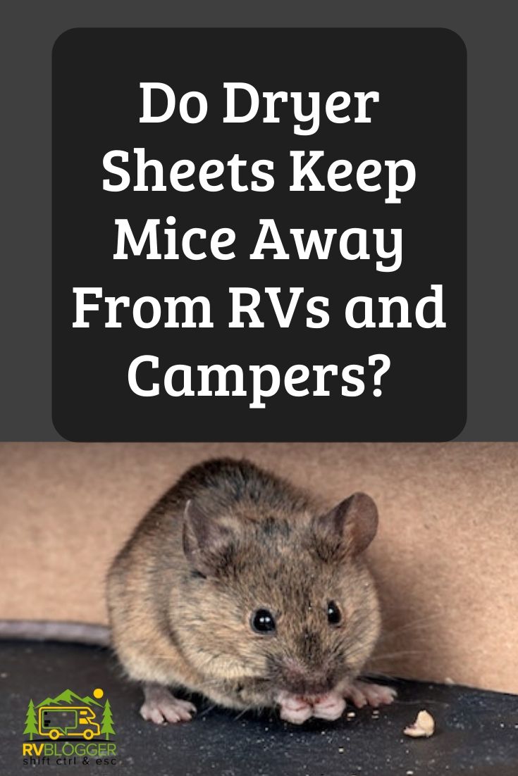 Do Dryer Sheets Keep Mice Away From RVs and Campers? – RVBlogger