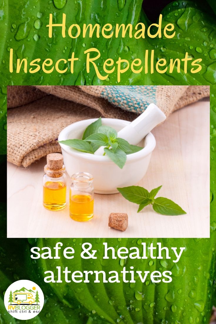 5 Best Homemade Insect Repellents That Work! RVBlogger
