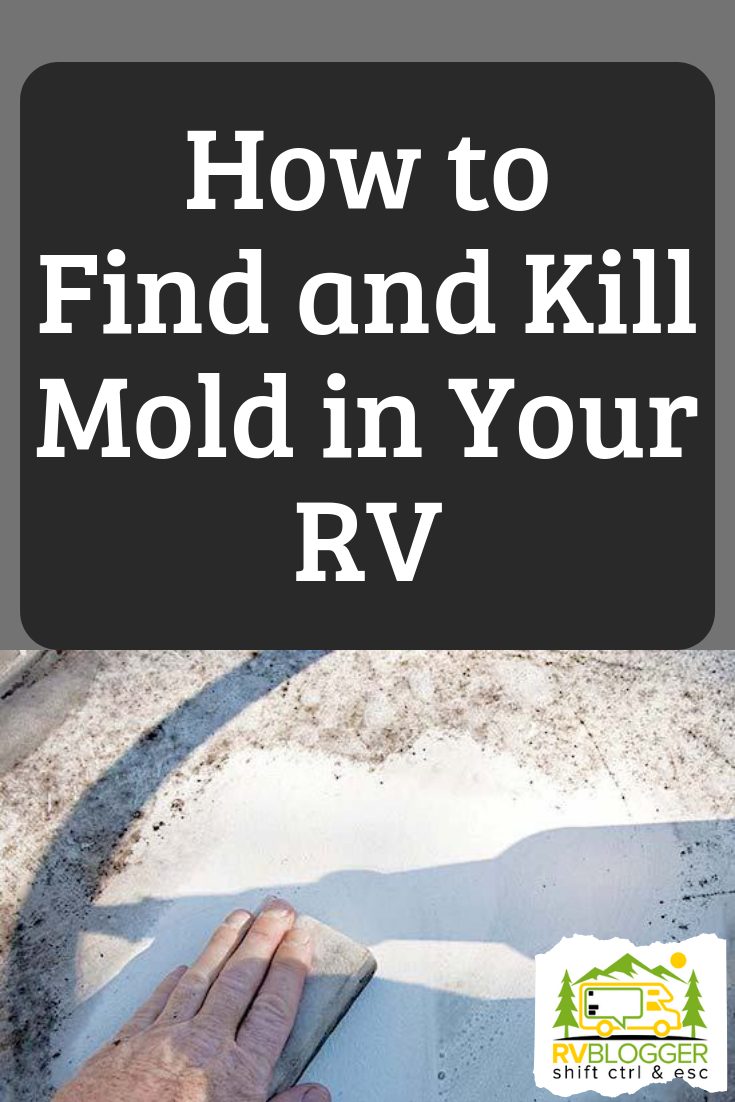 How to Find and Kill Mold in Your RV RVBlogger