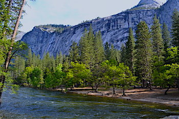North Pines Best Campground In and Near Yosemite National Park