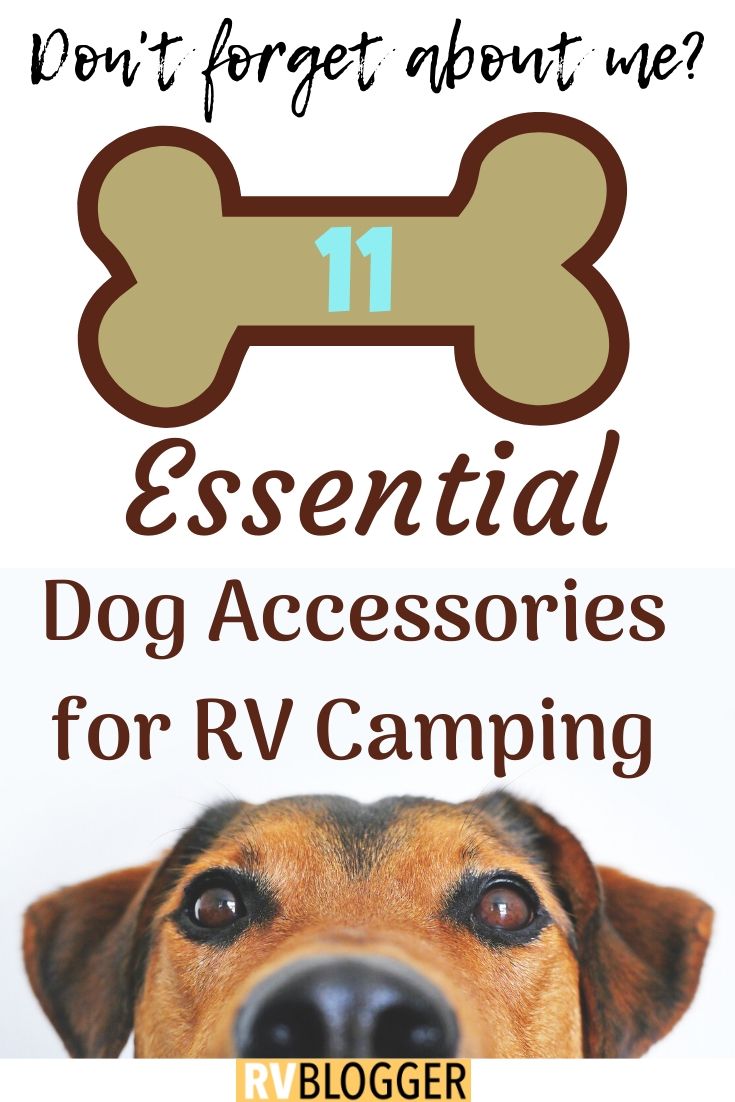 11 Essential Dog Accessories for RV Camping RVBlogger