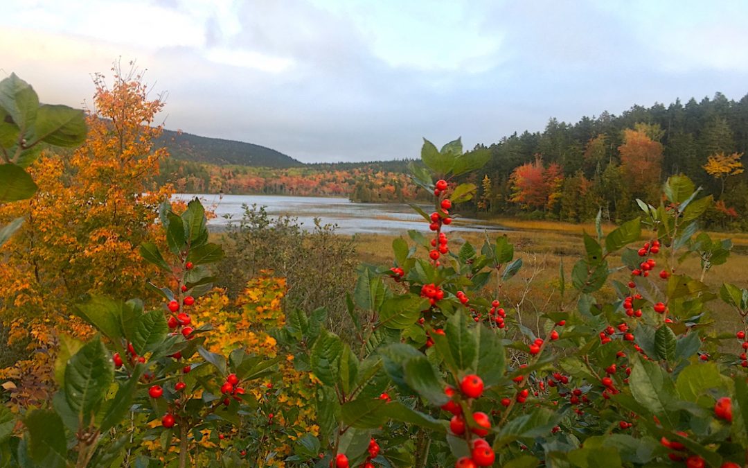 8 Best National Parks on the East Coast