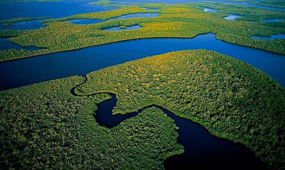 Best National Parks East Coast Everglades National Park