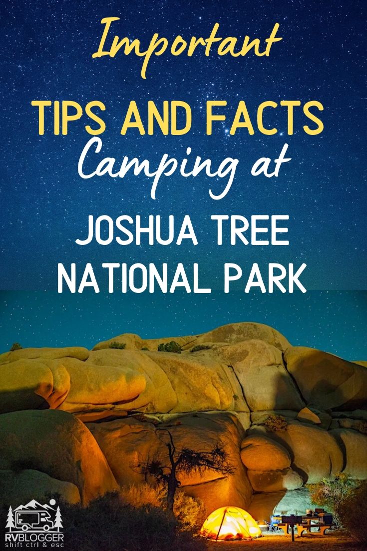 RV Camping in Joshua Tree Ultimate Campground Guide for 2024