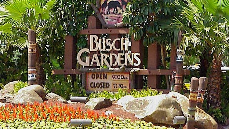 Busch Gardens Tampa Florida
