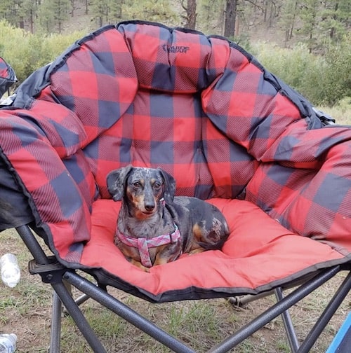 Guide Gear Oversized Club Camp Chair