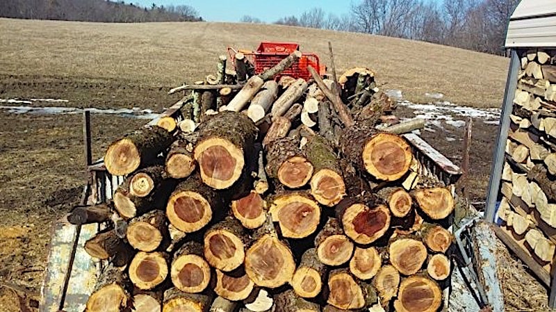 How Far Can You Move Firewood Between Locations?
