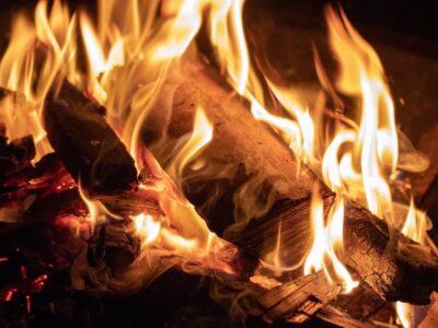 Best Smelling Firewoods Campfires or Fireplaces