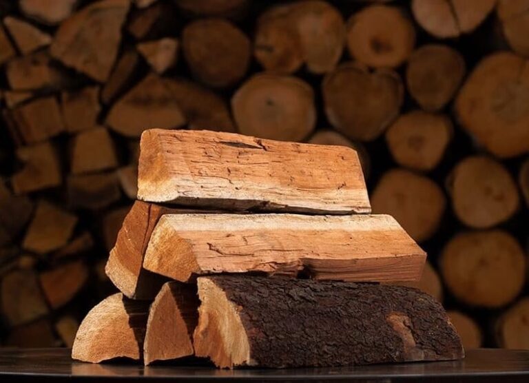 12 Best Smelling Firewoods (Campfires or Fireplaces) RVBlogger