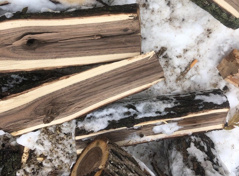 Walnut firewood