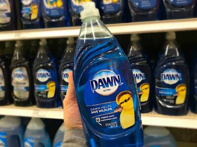 Can I Wash My RV with Dawn Dish Soap?