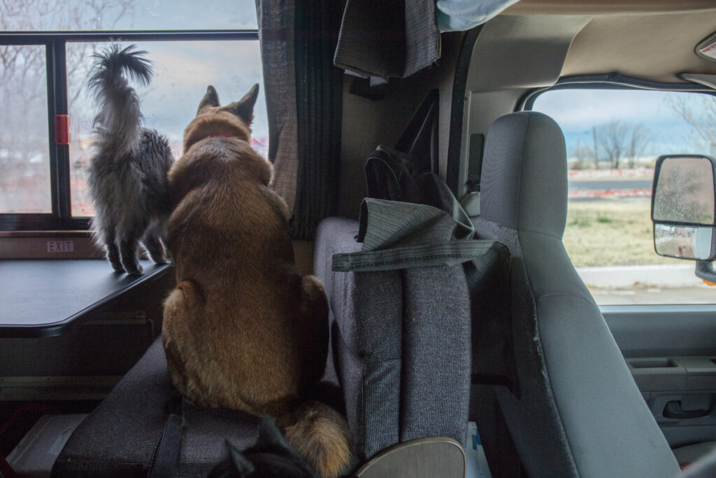 A cat and dog in an RV looking out the window