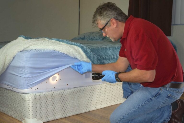 Can You Get Bed Bugs in a Camper? RVBlogger