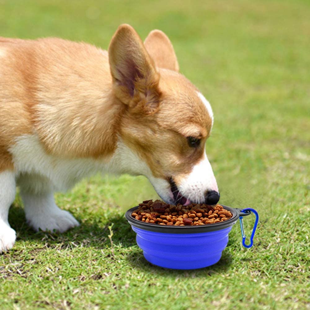 our Ultimate Gift Guide for RV Owners includes this blue collapsible pet bowl