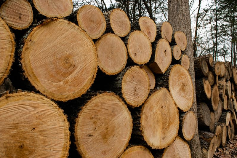 Why you should avoid moving firewood