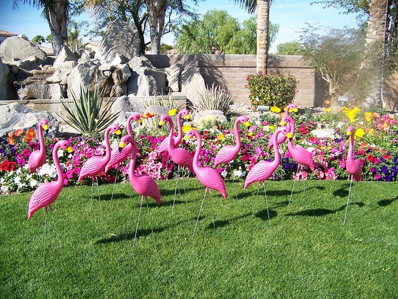 What’s the History of Pink Flamingos without upside down pineapples?