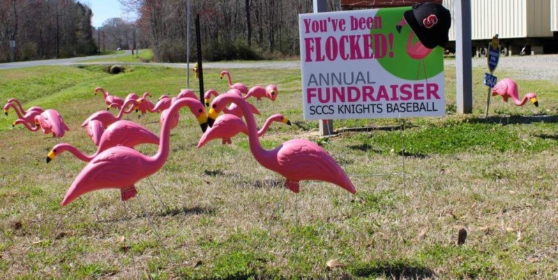 Flocked by Pink Flamingos without upside down pineapples