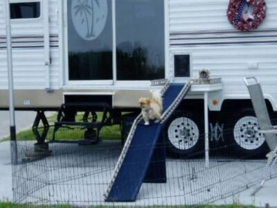 How To Install An RV Doggie Door Cover