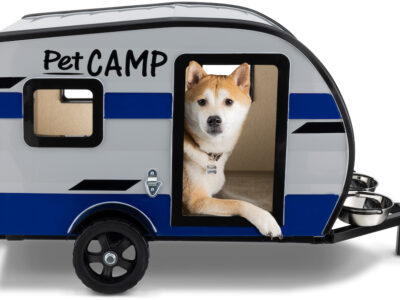 How to Handle a Barking Dog at the Campsite Next Door